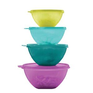 Tupperware Classic Wonderlier Mixing Bowl Set of 4 New